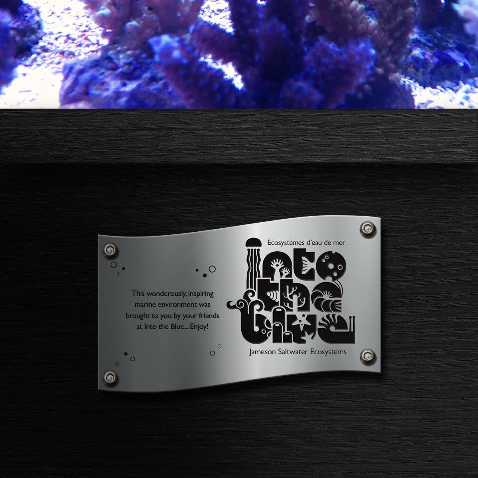 960x960_ITBplaque